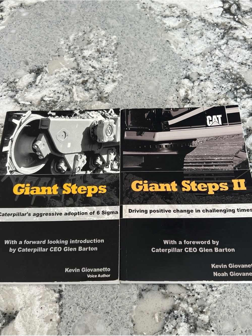 Giant Steps / Giant Steps II Paperback Book Duo - caterpillar 6sigma